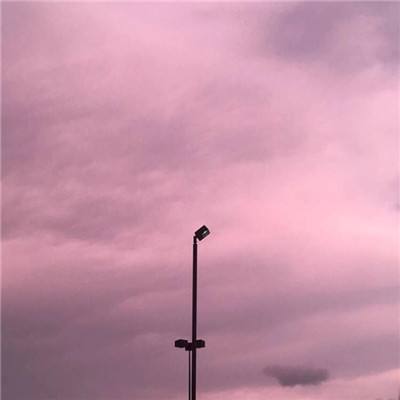 m6米乐手机登陆入口