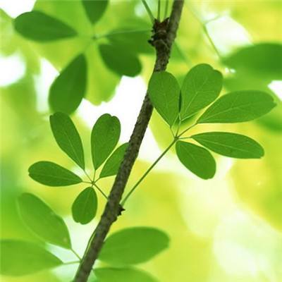 pg娱乐电子游戏app下载