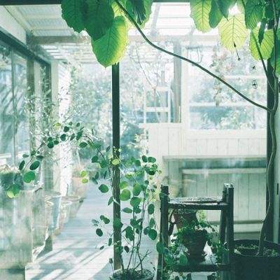 皇冠新体育APP手机app下载