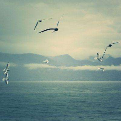 皇冠新体育APP手机app下载