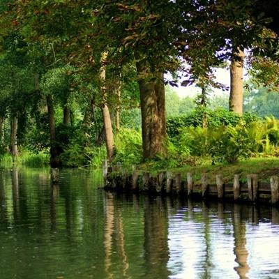 爱游戏平台下载手机版