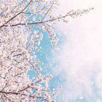 星空体育手机网页版