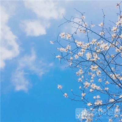 KOK·综合体育app