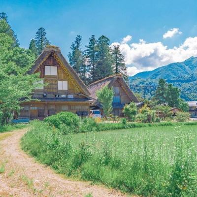 乐乐捕鱼官方网站